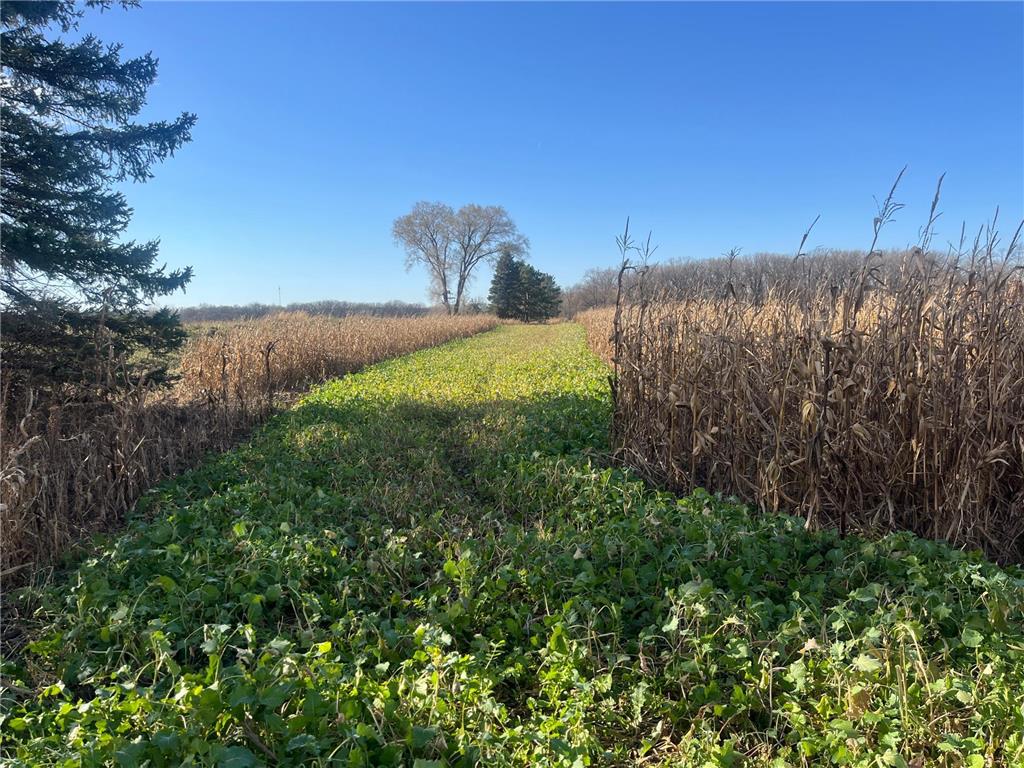 TBD County Road 2 Saint Joseph Twp MN 56374 - Watab River 6817400 image4