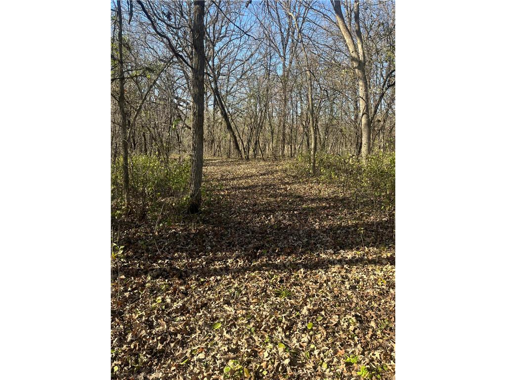 TBD County Road 2 Saint Joseph Twp MN 56374 - Watab River 6817400 image6