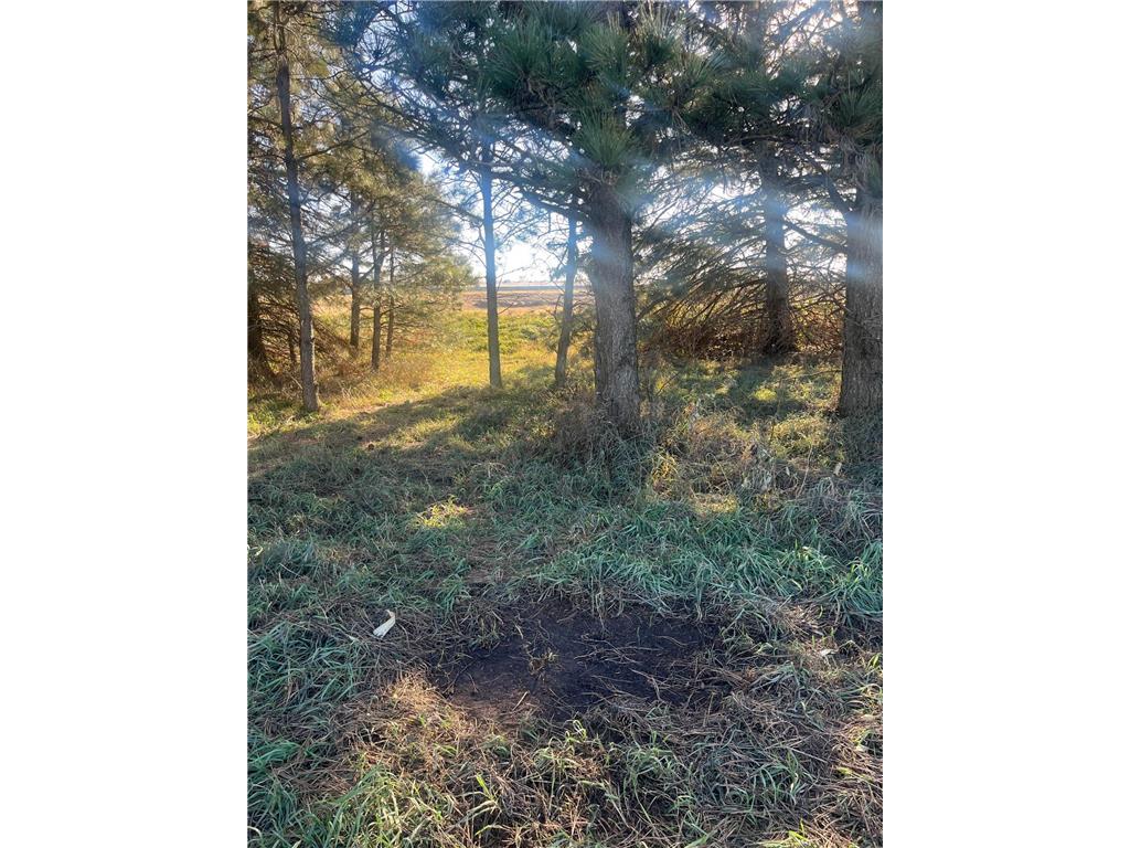 TBD County Road 2 Saint Joseph Twp MN 56374 - Watab River 6817400 image9