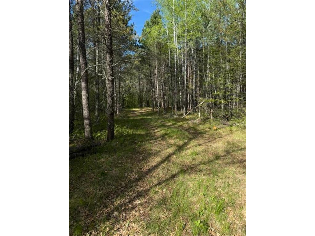 TBD County Road 3 Mission Twp MN 56465 - Bonnie 7079327 image10