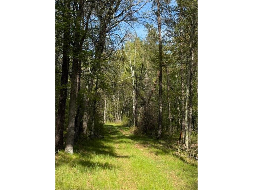 TBD County Road 3 Mission Twp MN 56465 - Bonnie 7079327 image11