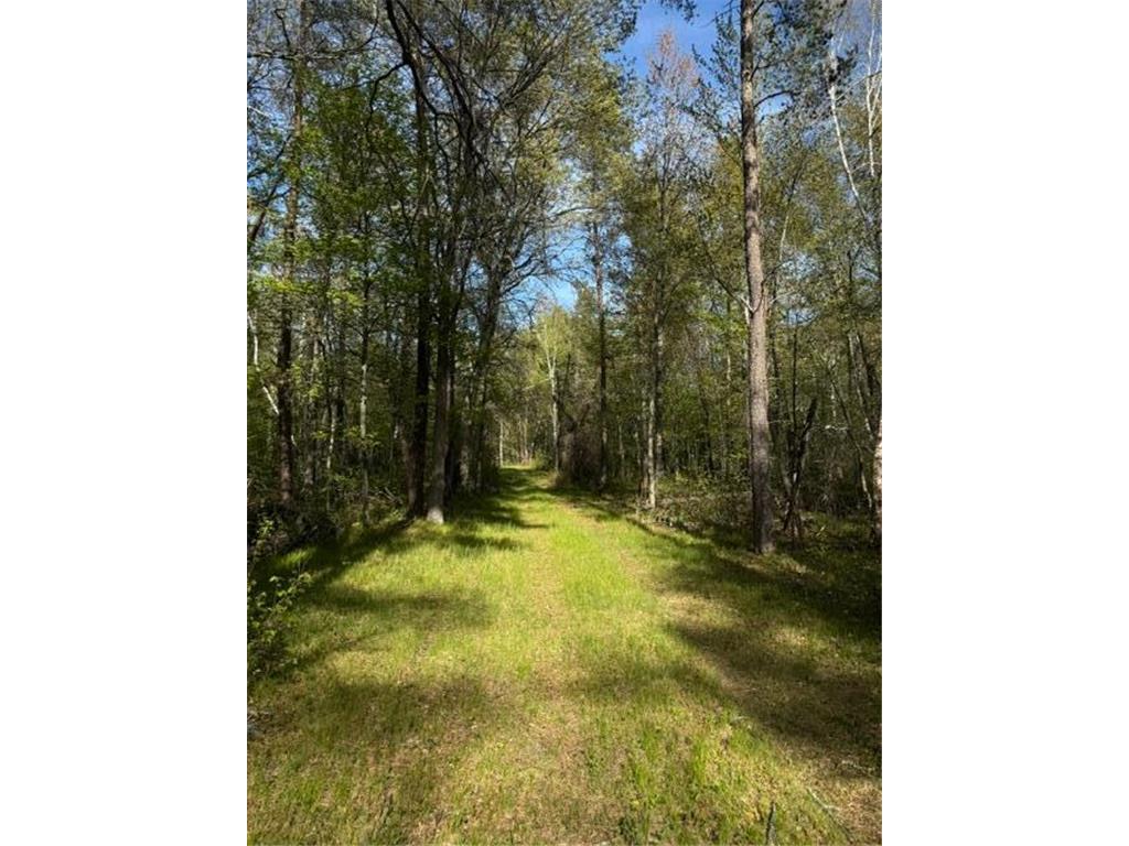 TBD County Road 3 Mission Twp MN 56465 - Bonnie 7079327 image12