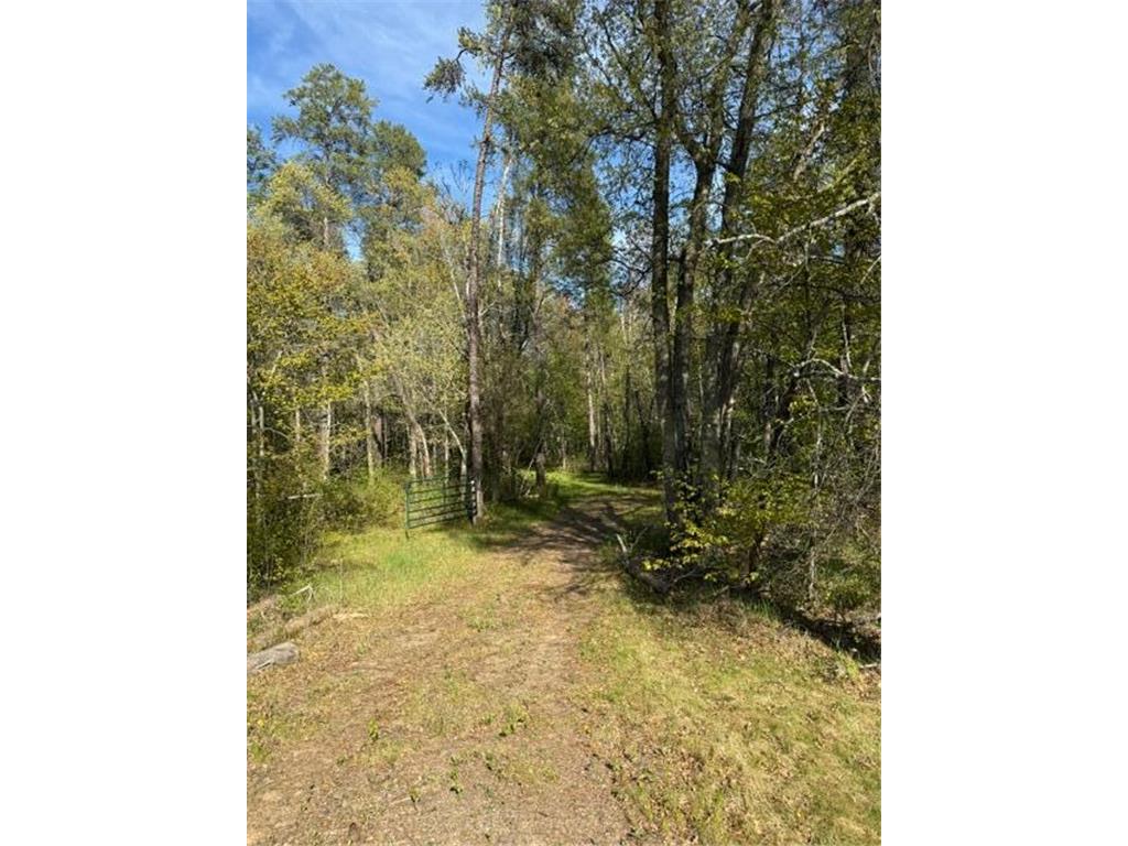 TBD County Road 3 Mission Twp MN 56465 - Bonnie 7079327 image13