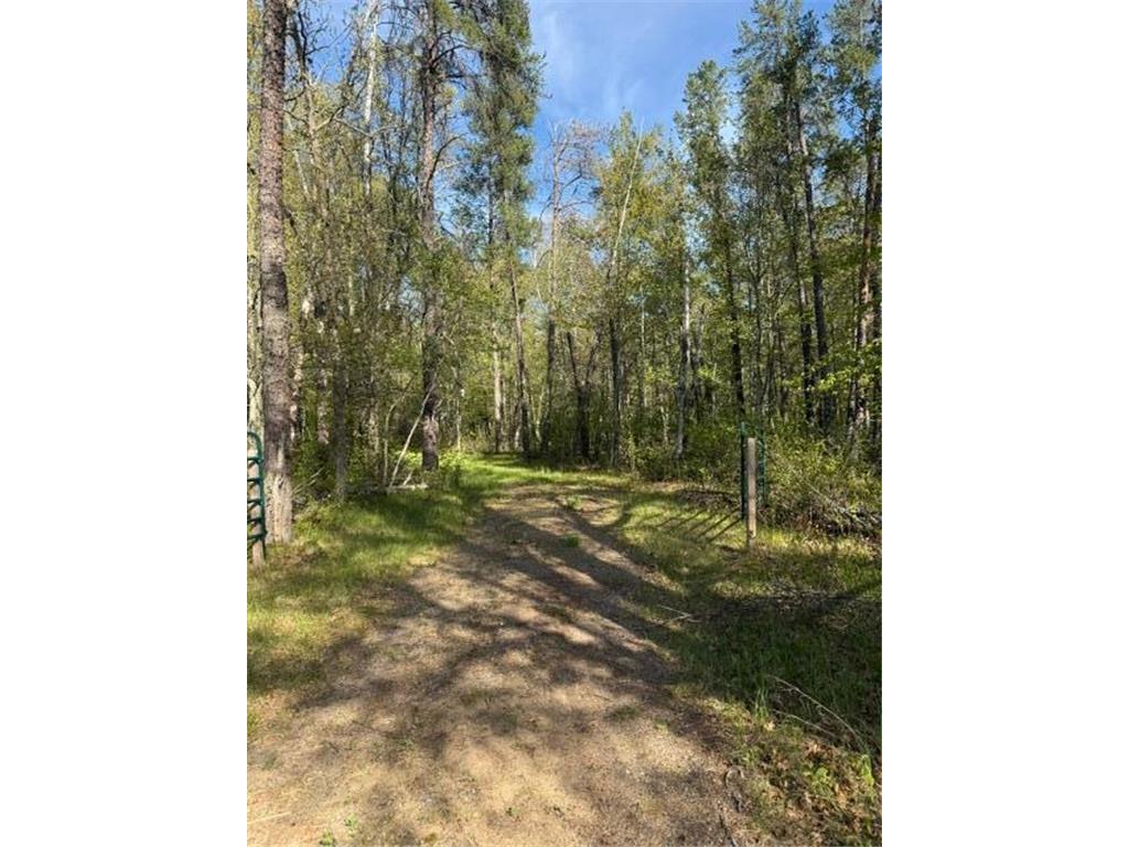 TBD County Road 3 Mission Twp MN 56465 - Bonnie 7079327 image14