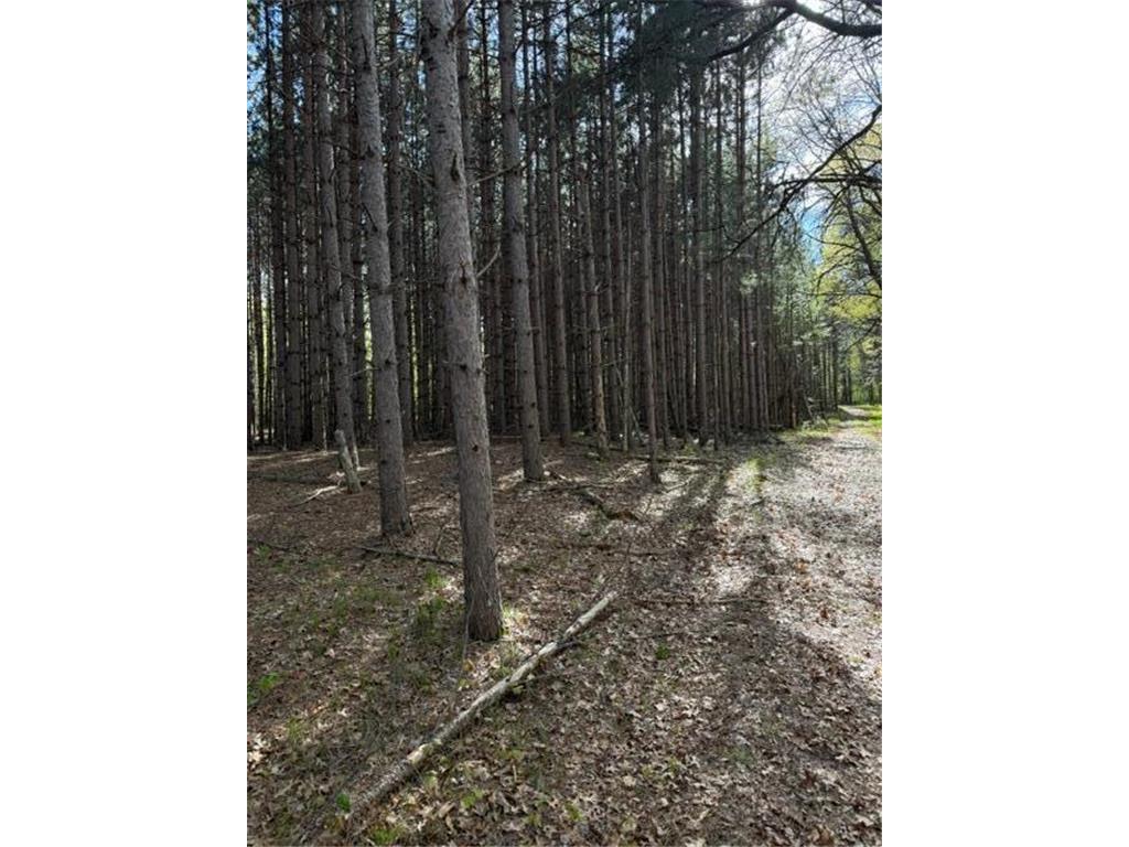 TBD County Road 3 Mission Twp MN 56465 - Bonnie 7079327 image15