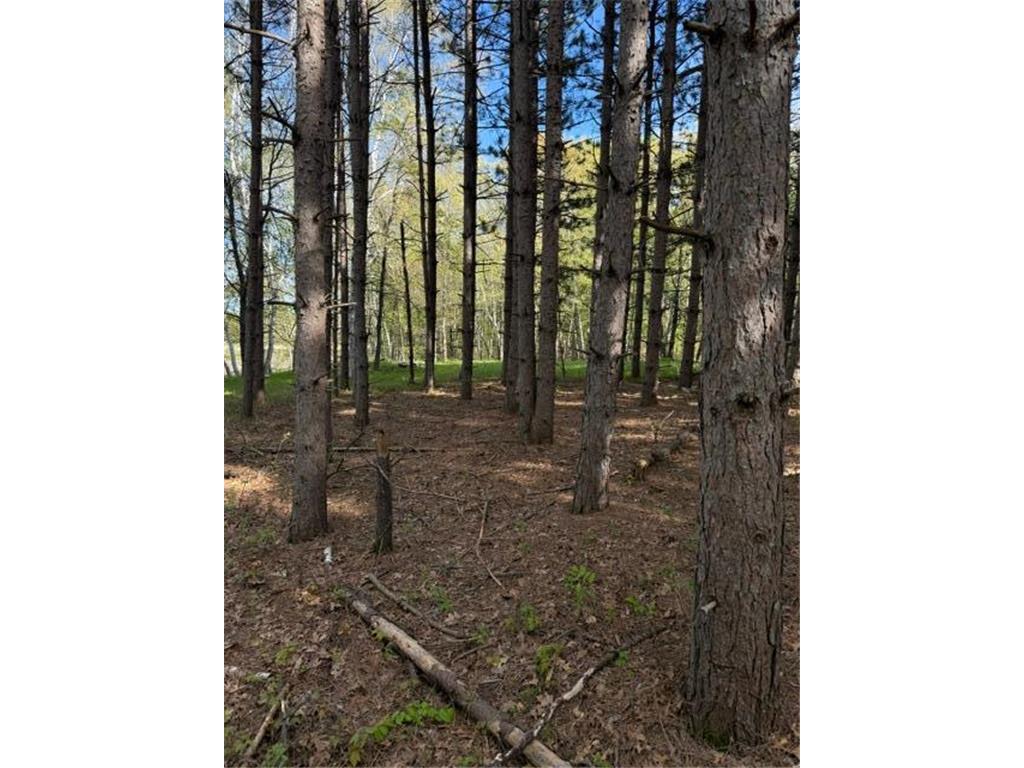 TBD County Road 3 Mission Twp MN 56465 - Bonnie 7079327 image16