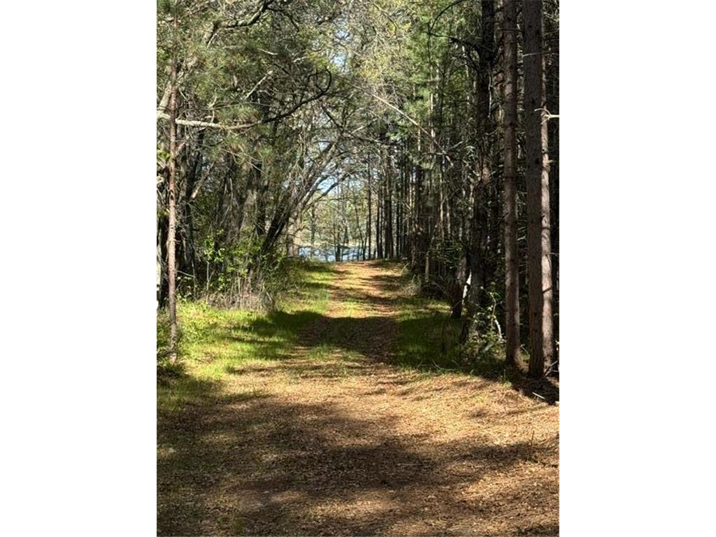 TBD County Road 3 Mission Twp MN 56465 - Bonnie 7079327 image17