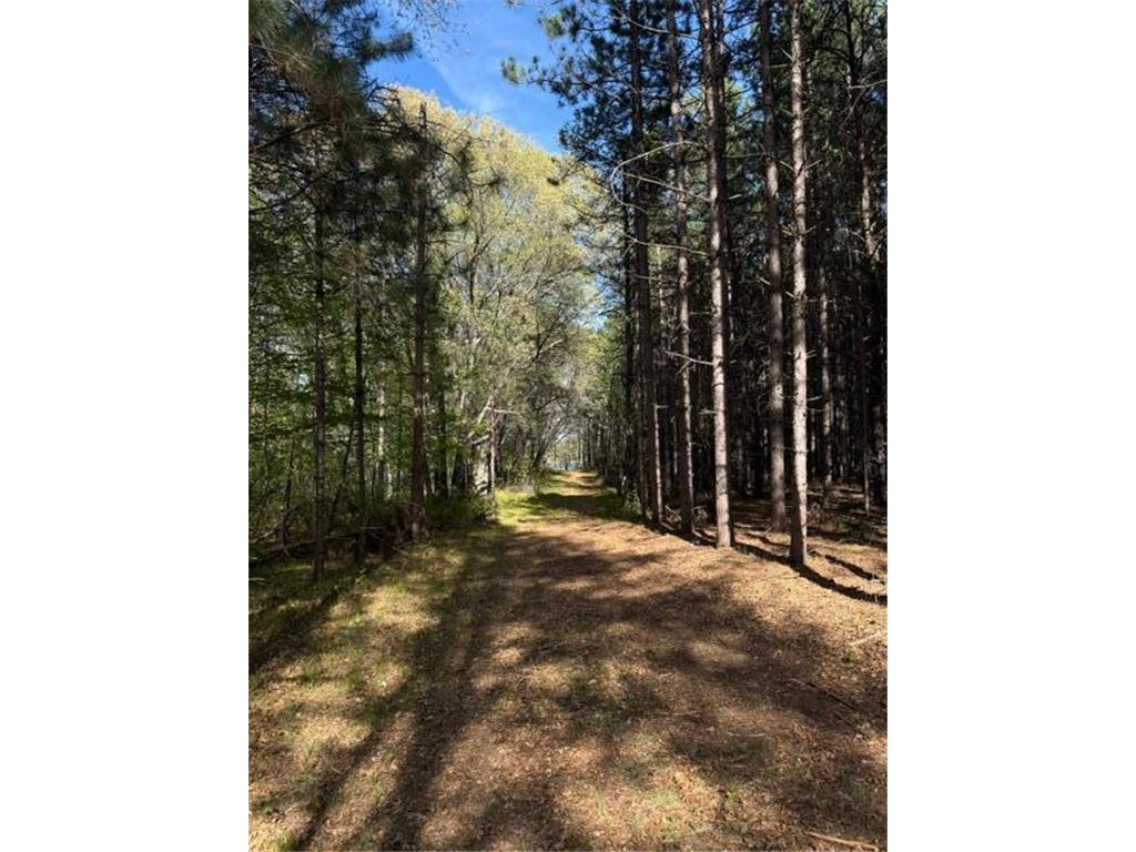 TBD County Road 3 Mission Twp MN 56465 - Bonnie 7079327 image19