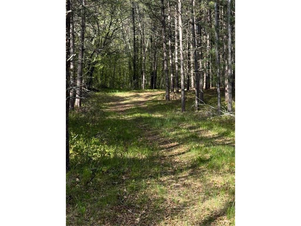 TBD County Road 3 Mission Twp MN 56465 - Bonnie 7079327 image20