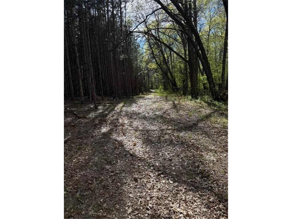 TBD County Road 3 Mission Twp MN 56465 - Bonnie 7079327 image25