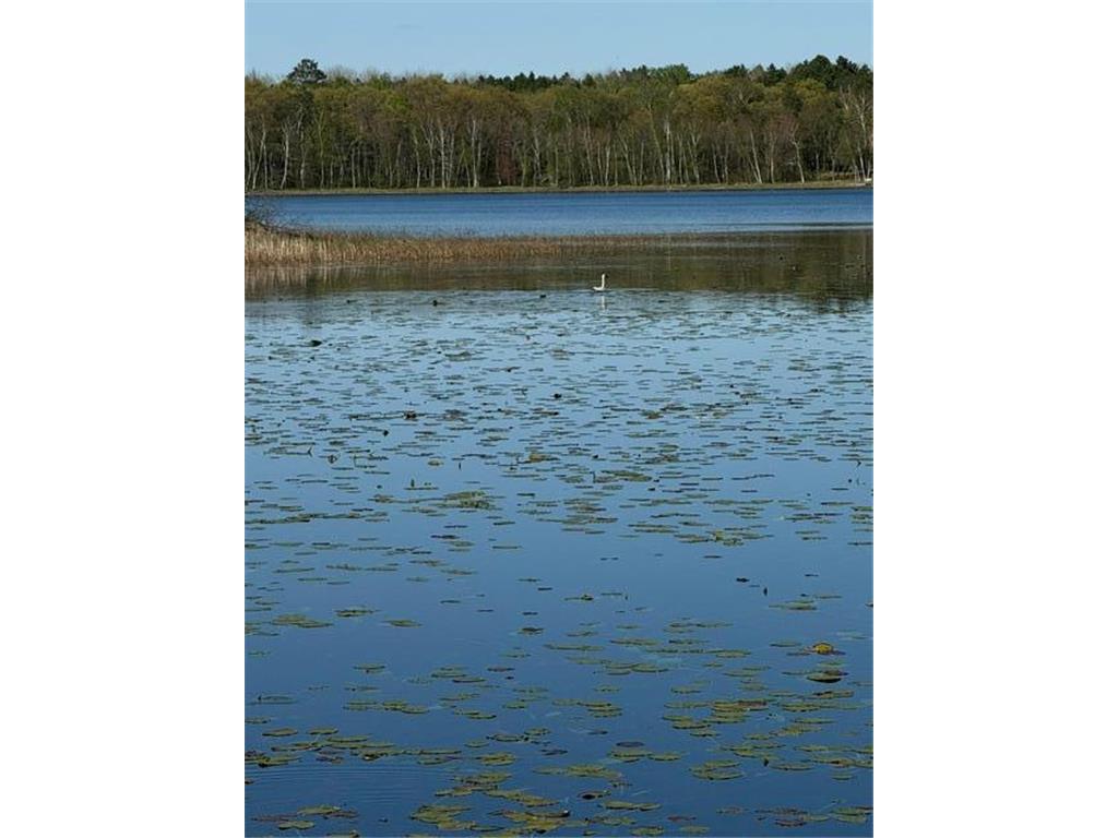 TBD County Road 3 Mission Twp MN 56465 - Bonnie 7079327 image27