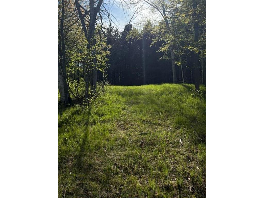 TBD County Road 3 Mission Twp MN 56465 - Bonnie 7079327 image29