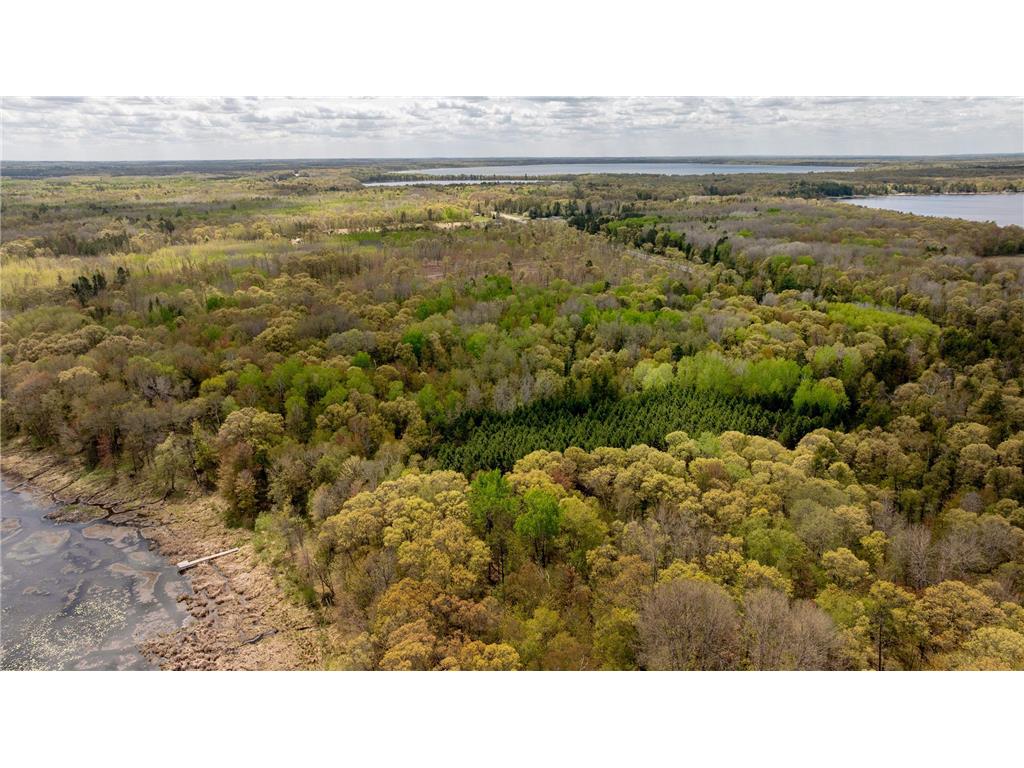 TBD County Road 3 Mission Twp MN 56465 - Bonnie 7079327 image36