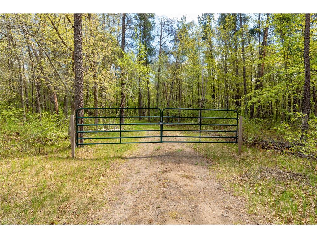 TBD County Road 3 Mission Twp MN 56465 - Bonnie 7079327 image6