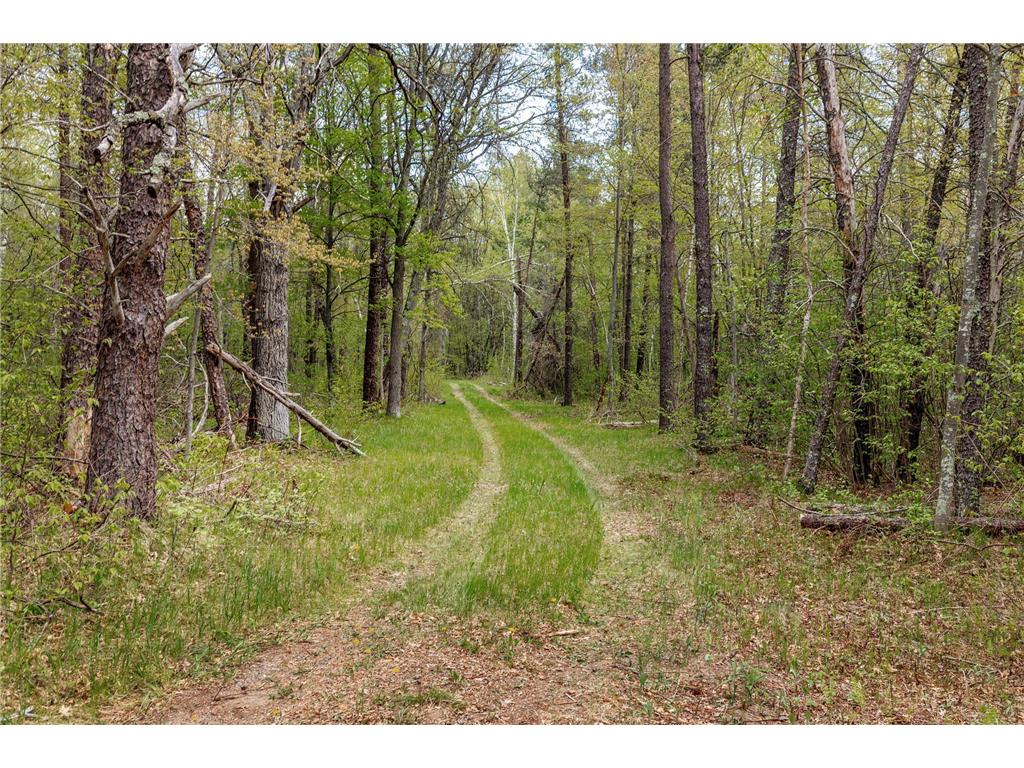TBD County Road 3 Mission Twp MN 56465 - Bonnie 7079327 image7
