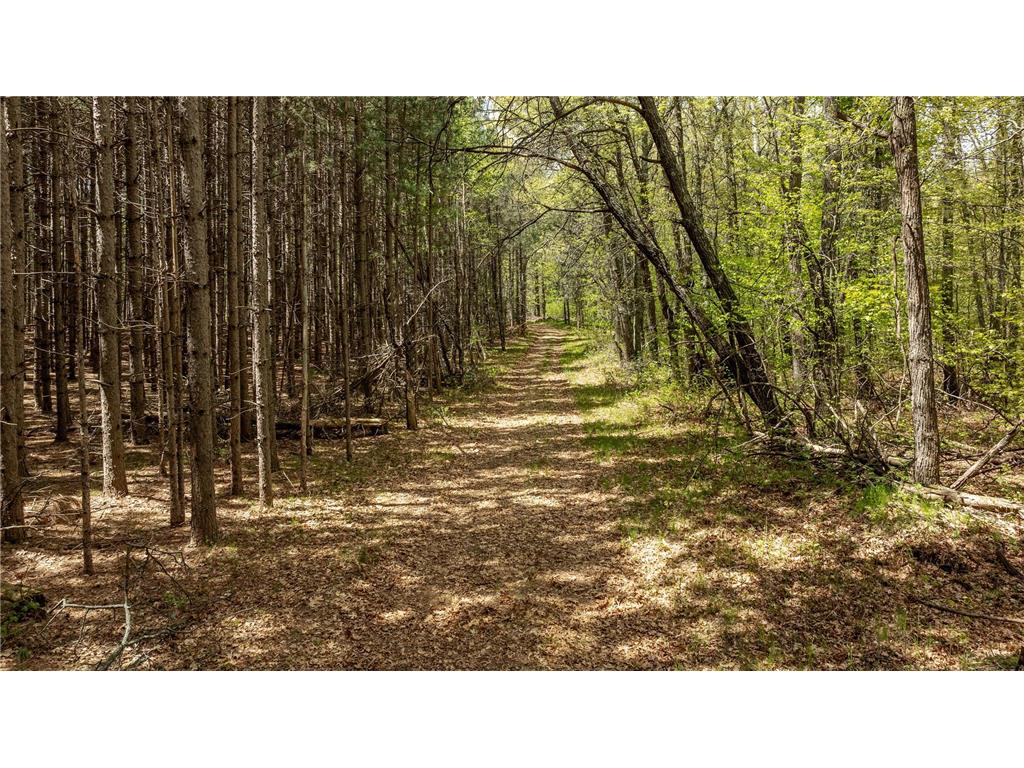 TBD County Road 3 Mission Twp MN 56465 - Bonnie 7079327 image8