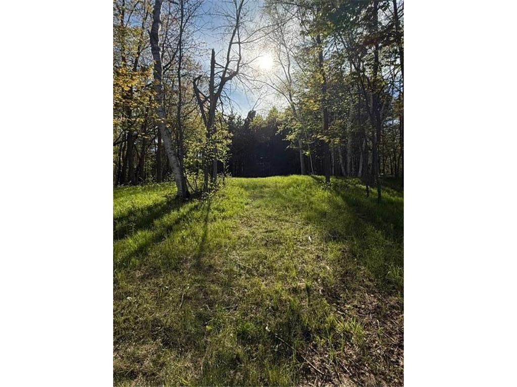 TBD County Road 3 Mission Twp MN 56465 - Bonnie 7079327 image9