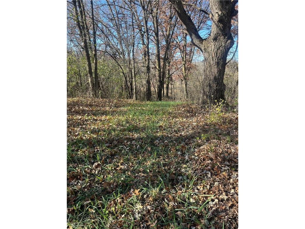 TBD County Road 3 Saint Joseph Twp MN 56374 - Watab River 7005064 image12