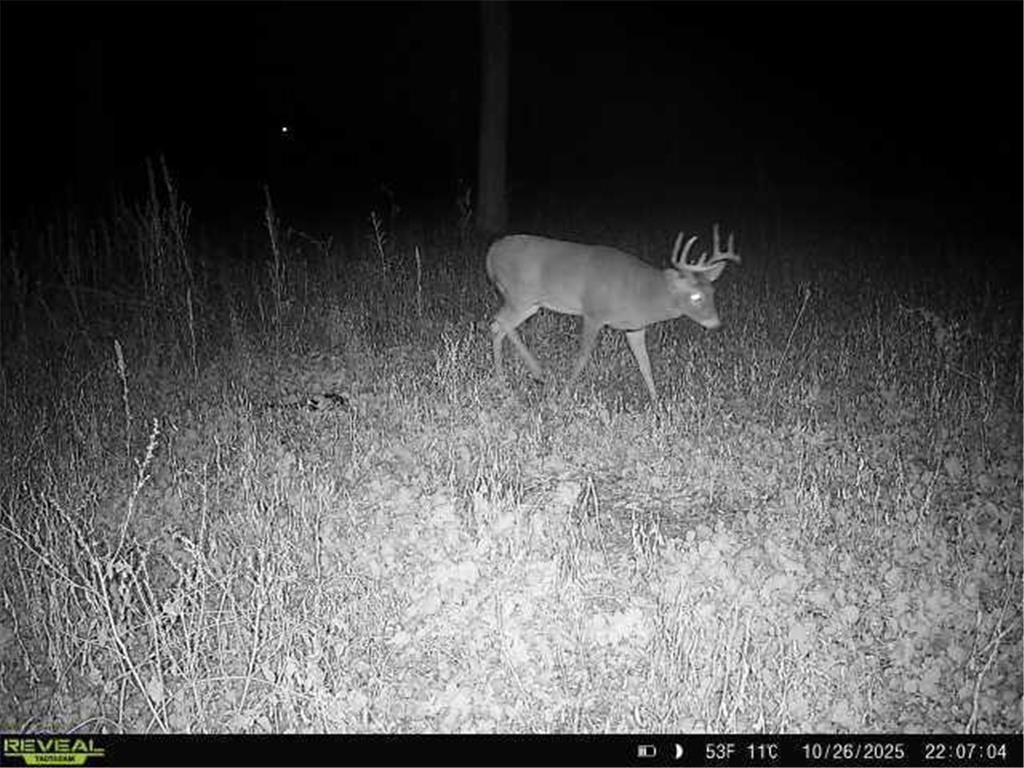 TBD County Road 3 Saint Joseph Twp MN 56374 - Watab River 7005064 image26