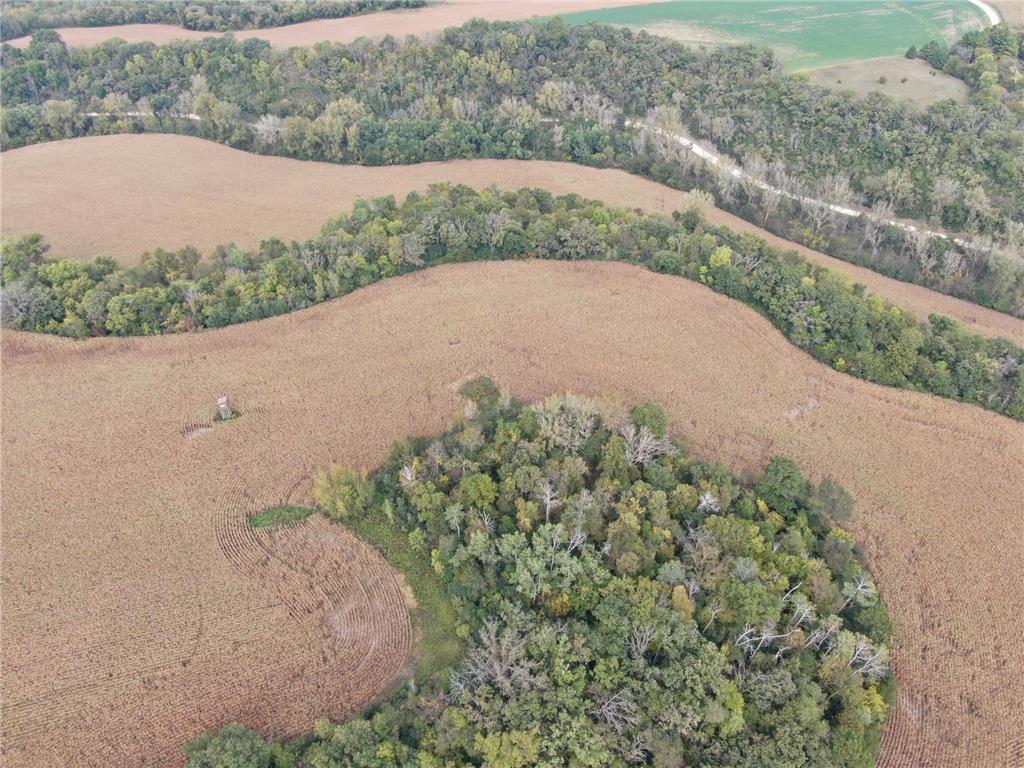 TBD County Road 3 Zumbro Falls MN 55991 7014737 image11