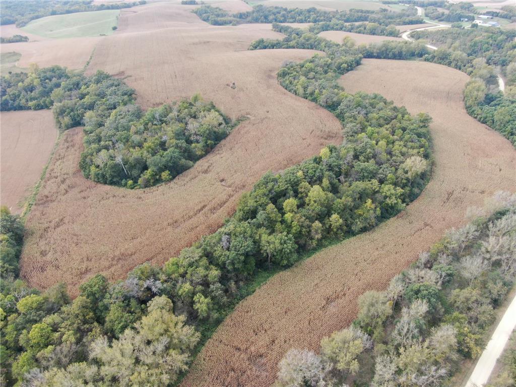 TBD County Road 3 Zumbro Falls MN 55991 7014737 image13