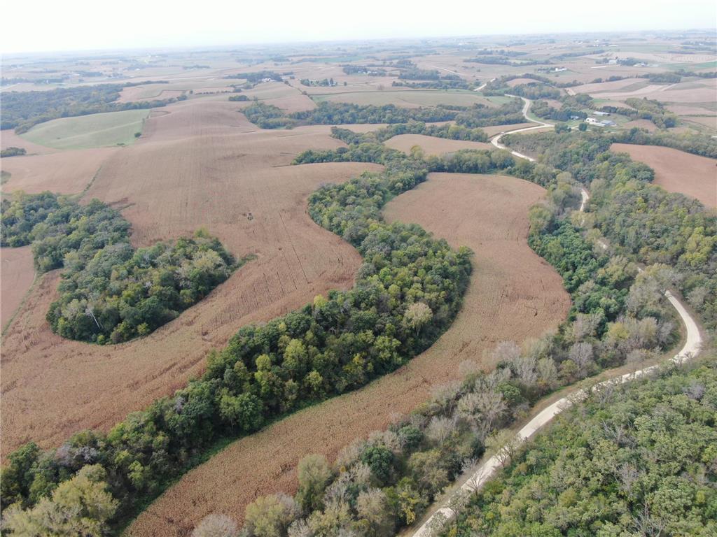 TBD County Road 3 Zumbro Falls MN 55991 7014737 image16