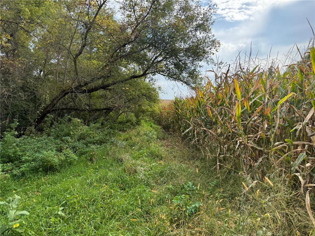 TBD County Road 3 Zumbro Falls MN 55991 7014737 image20