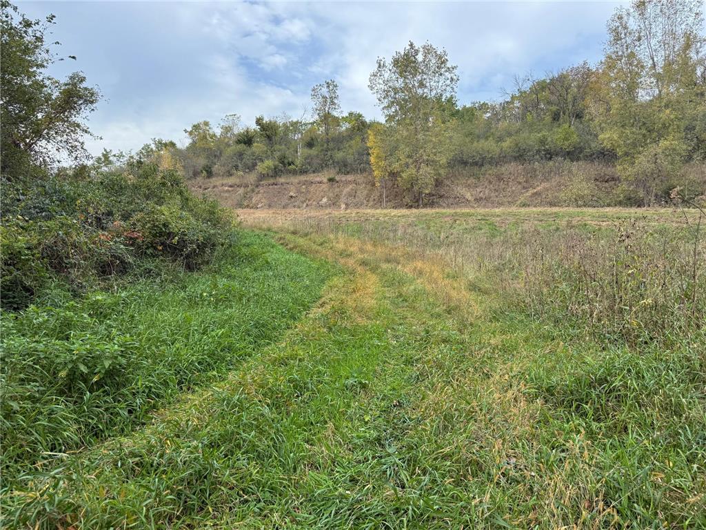 TBD County Road 3 Zumbro Falls MN 55991 7014737 image21