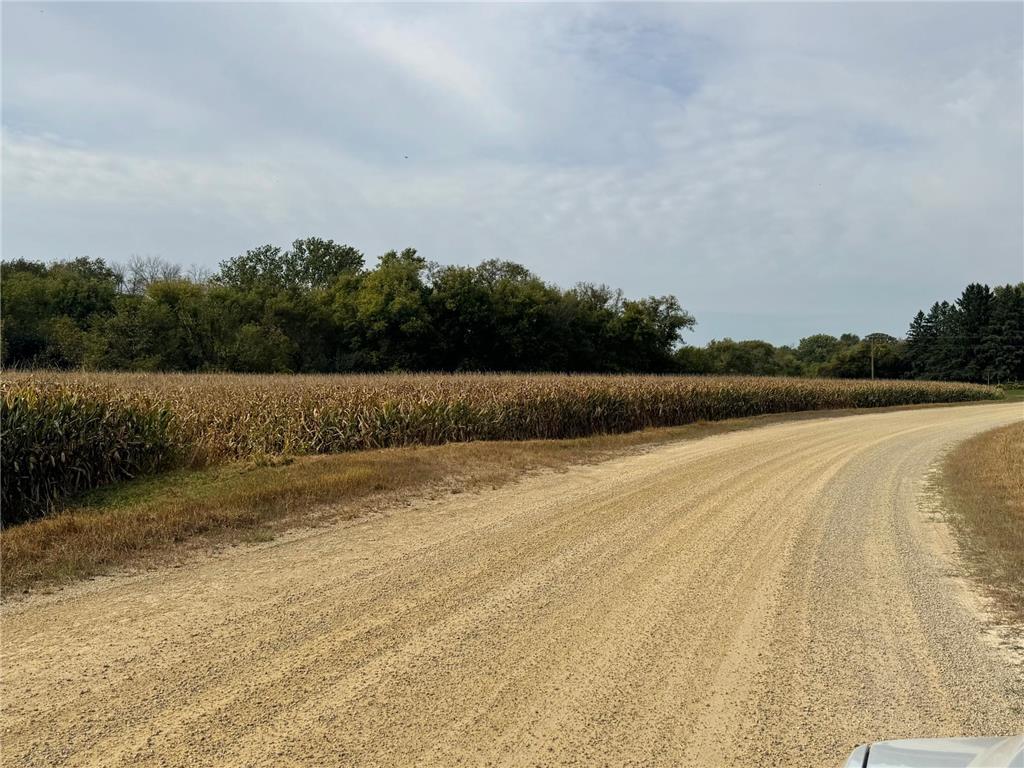 TBD County Road 3 Zumbro Falls MN 55991 7014737 image23