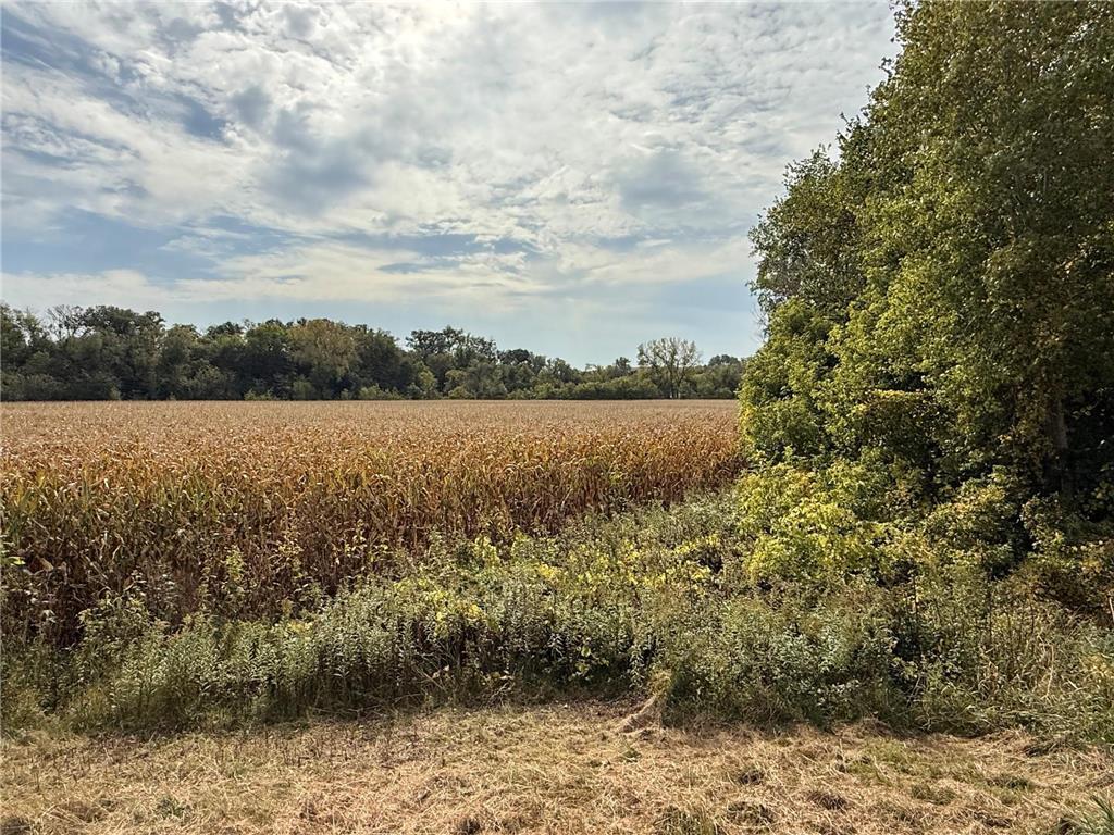 TBD County Road 3 Zumbro Falls MN 55991 7014737 image25