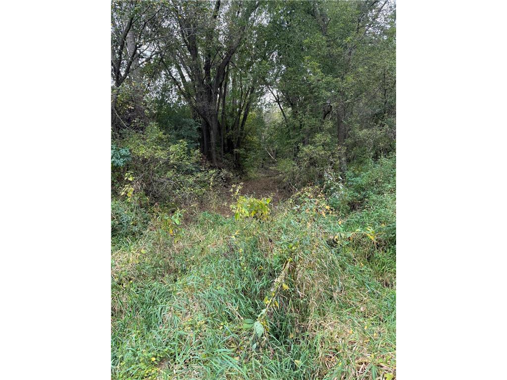 TBD County Road 3 Zumbro Falls MN 55991 7014737 image27