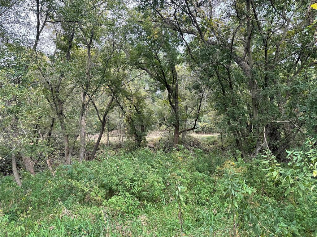 TBD County Road 3 Zumbro Falls MN 55991 7014737 image29