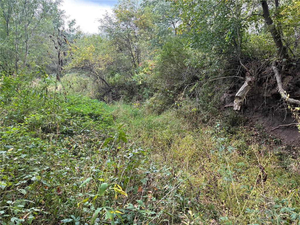 TBD County Road 3 Zumbro Falls MN 55991 7014737 image30