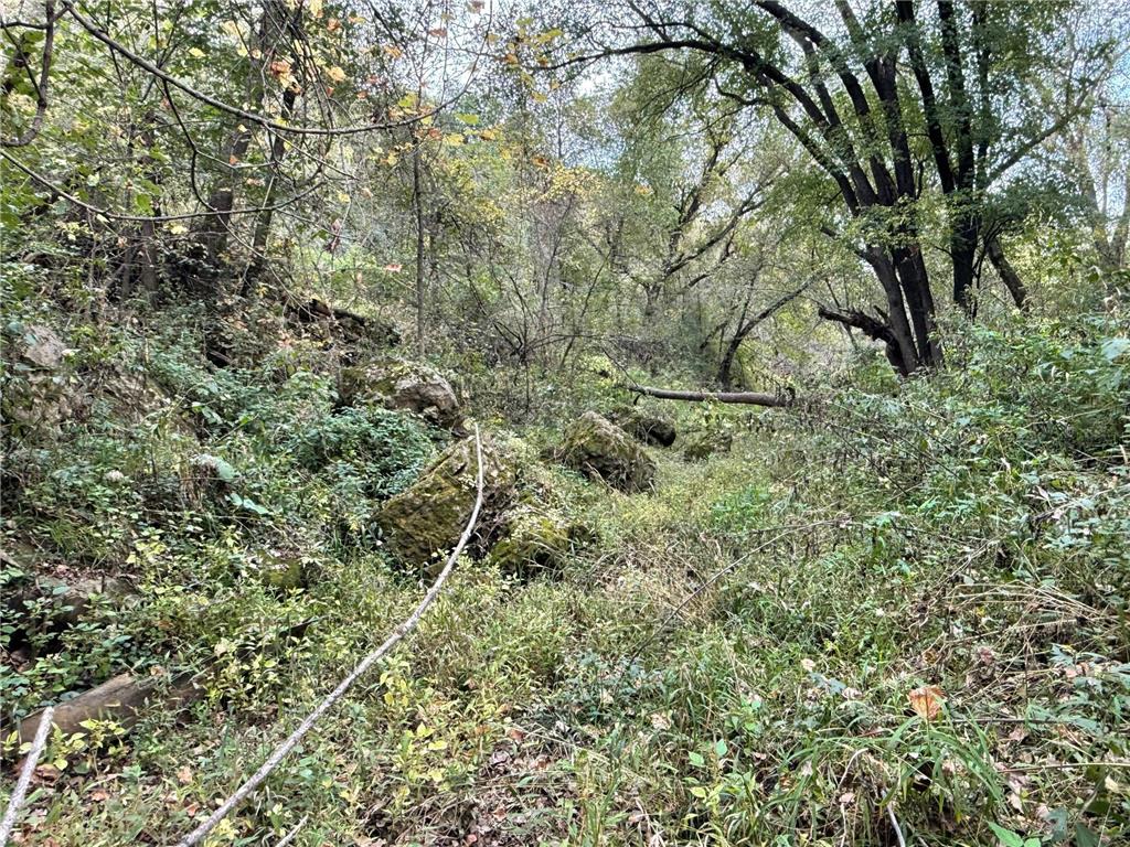 TBD County Road 3 Zumbro Falls MN 55991 7014737 image31