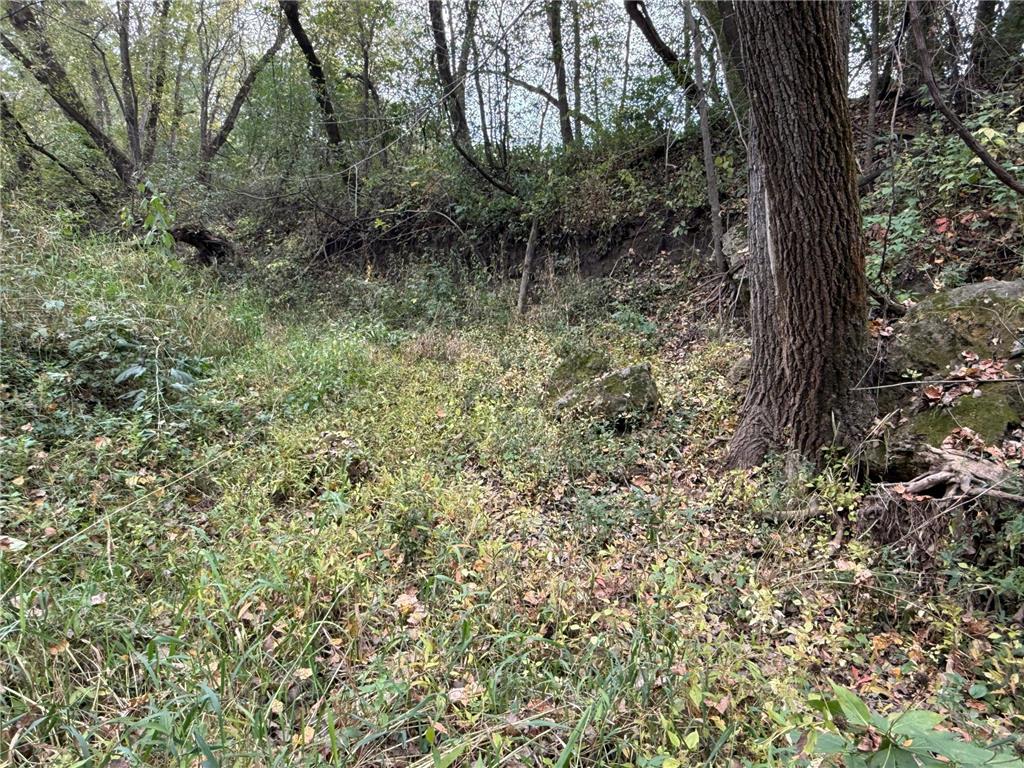 TBD County Road 3 Zumbro Falls MN 55991 7014737 image32