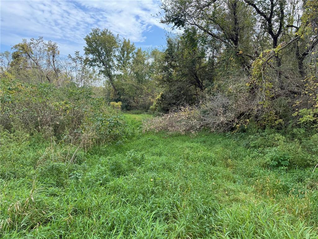 TBD County Road 3 Zumbro Falls MN 55991 7014737 image37