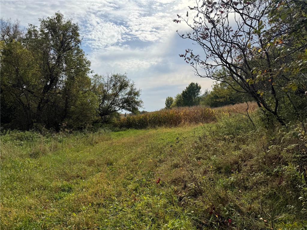 TBD County Road 3 Zumbro Falls MN 55991 7014737 image38