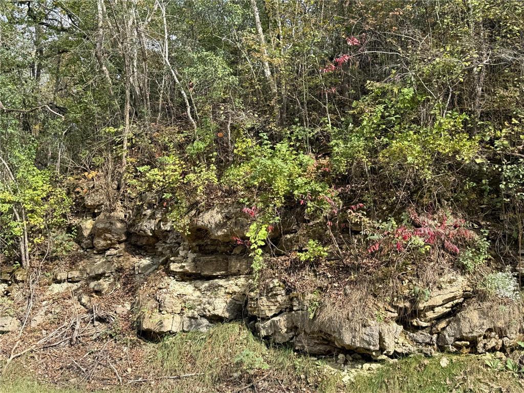 TBD County Road 3 Zumbro Falls MN 55991 7014737 image45