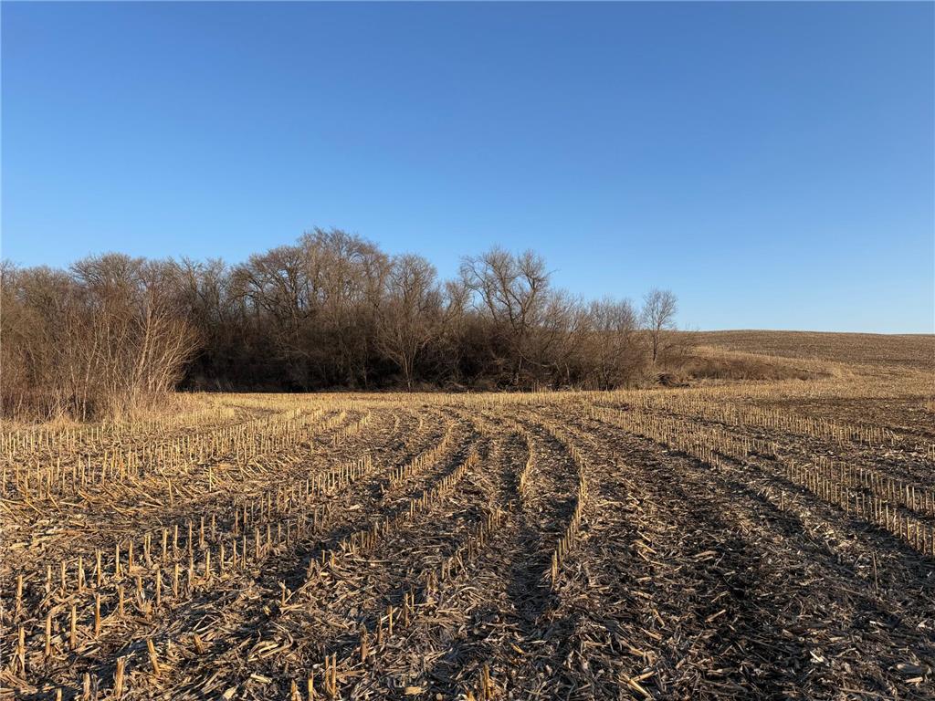 TBD County Road 3 Zumbro Falls MN 55991 7014737 image46