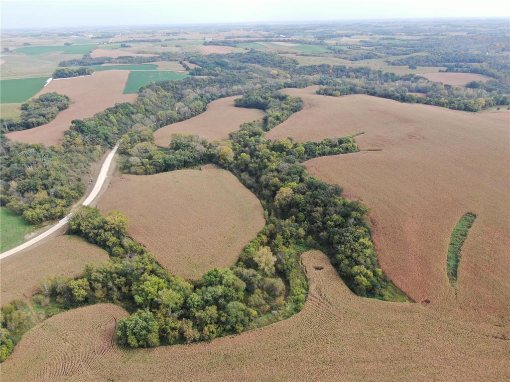 TBD County Road 3 Zumbro Falls MN 55991 7014737 image5