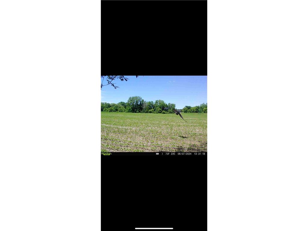 TBD County Road 3 Zumbro Falls MN 55991 7014737 image62