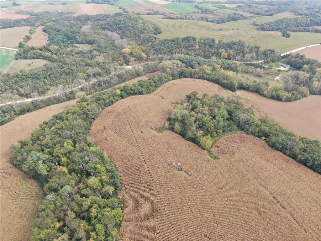 TBD County Road 3 Zumbro Falls MN 55991 7014737 image9