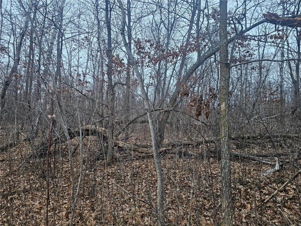 TBD County Road 30 Aitkin MN 56431 - Rabbit Lake 6816600 image8
