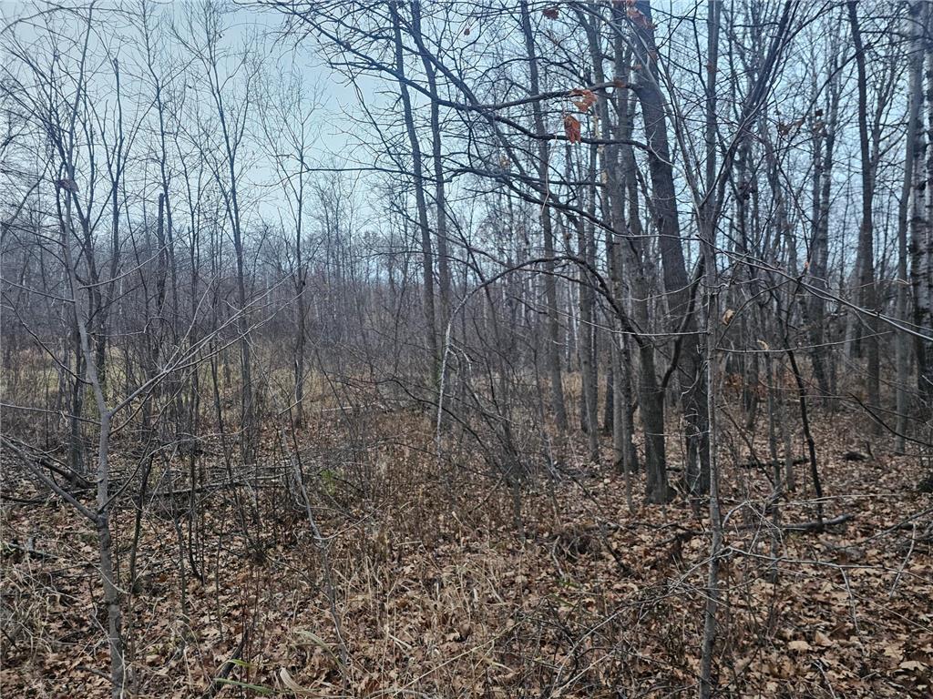 TBD County Road 30 Aitkin MN 56431 - Rabbit Lake 6816600 image9