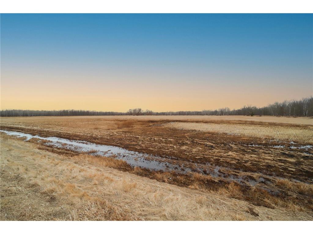 TBD County Road 30 Rabbit Lake Twp MN 56431 6681367 image1