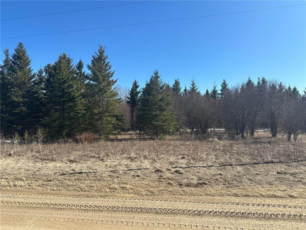 TBD County Road 31 Northome MN 56661 7027733 image1