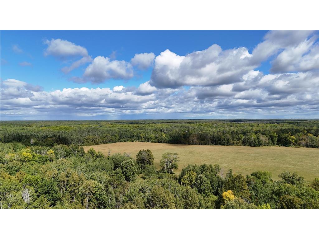 TBD County Road 31 Pomroy Twp MN 56688 6781435 image1
