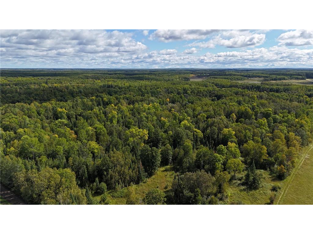 TBD County Road 31 Pomroy Twp MN 56688 6781435 image10