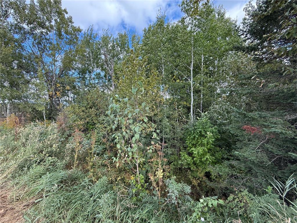 TBD County Road 31 Pomroy Twp MN 56688 6781435 image12