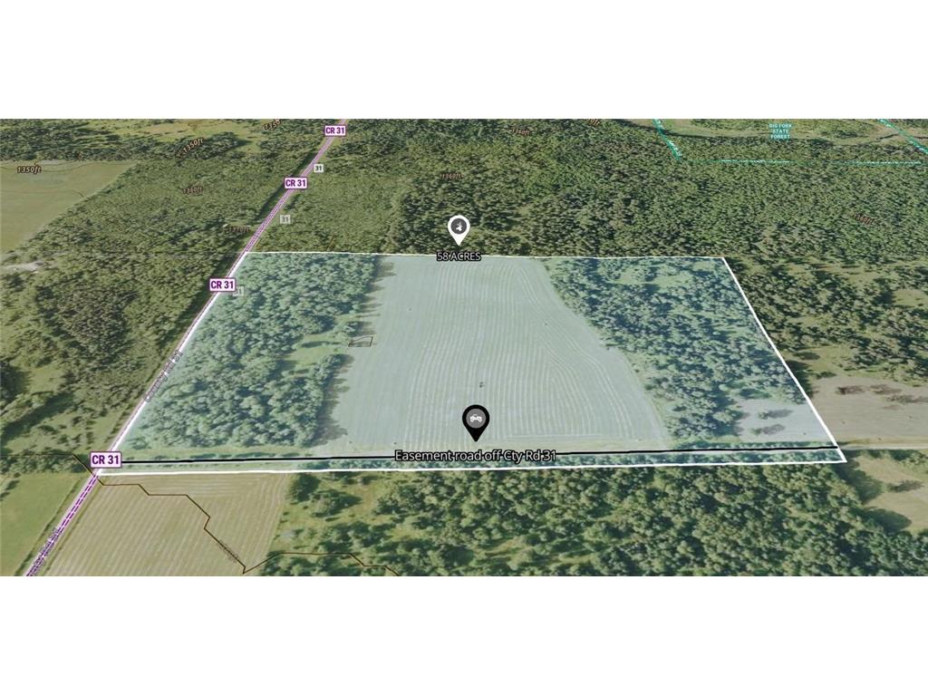 TBD County Road 31 Pomroy Twp MN 56688 6781435 image16